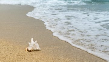 Κορωνησία: Το μαγικό «νησί» της Ηπείρου που οδηγείς… «πάνω» στο νερό