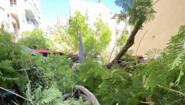 Πτώση δέντρων στο κέντρο της Αθήνας από τους ανέμους- 2 τραυματισμοί πολιτών