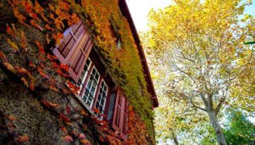 Shoulder season: &Gamma;&iota;&alpha;&tau;ί &eta; &mu;&epsilon;ί&omega;&sigma;&eta; &tau;&iota;&mu;ώ&nu; &mu;&pi;&omicron;&rho;&epsilon;ί &nu;&alpha; &epsilon;ί&nu;&alpha;&iota; &eta; &lambda;ά&theta;&omicron;&sigmaf; &kappa;ί&nu;&eta;&sigma;&eta; &ndash; &Delta;&Iota;&Alpha;&Chi;&Epsilon;&Iota;&Rho;&Iota;&Sigma;&Eta; &Alpha;&Kappa;&Iota;&Nu;&Eta;&Tau;&Omega;&Nu;